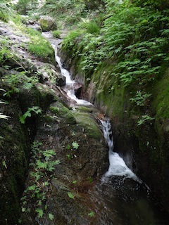 c0359615_20143991.jpg