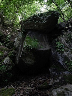 c0359615_20153523.jpg
