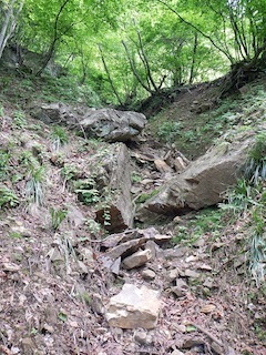 c0359615_20154833.jpg