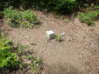 c0359615_20155959.jpg