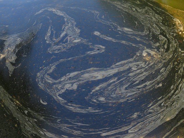 e0242721_724478.jpg