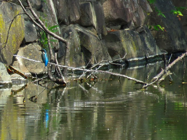 e0242721_741351.jpg