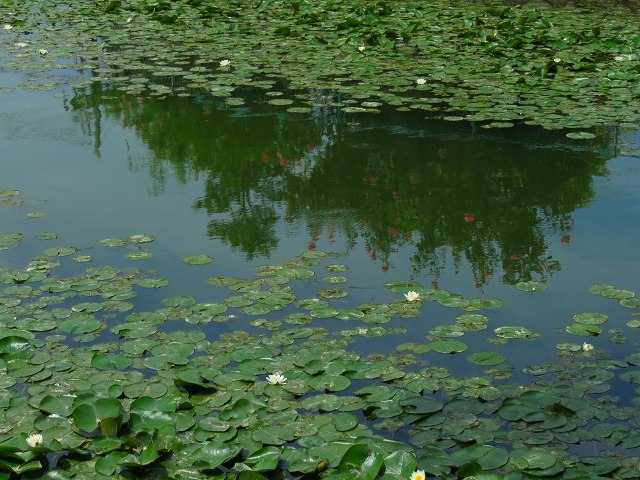 e0242721_755092.jpg