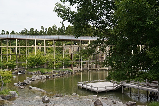 b0068423_11501194.jpg