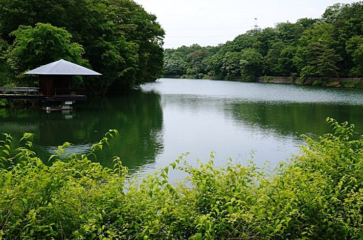 b0068423_1150491.jpg