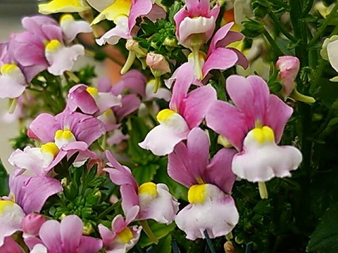 b0199924_17191387.jpg