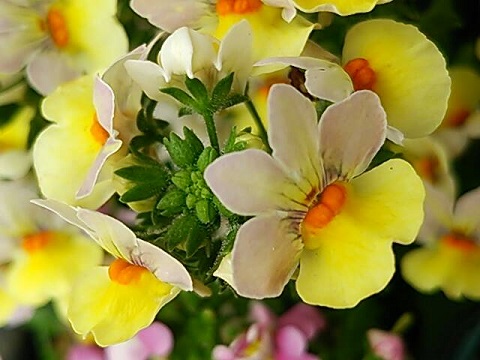b0199924_1719381.jpg