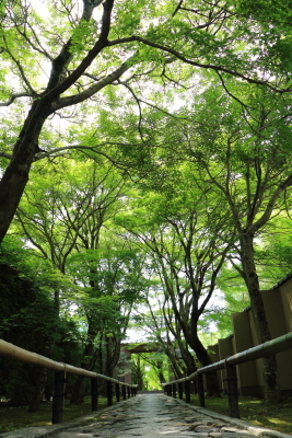 e0133025_23361058.jpg