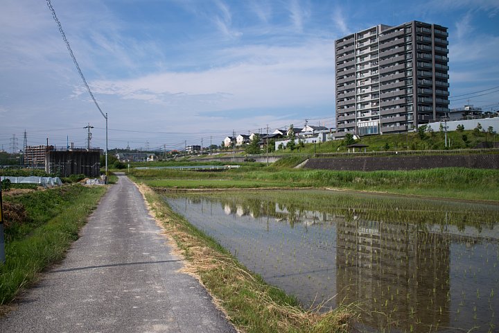 b0134829_1829220.jpg