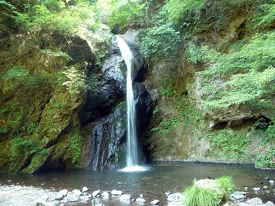 e0033229_2123540.jpg