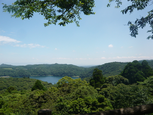 a0206332_11231560.jpg
