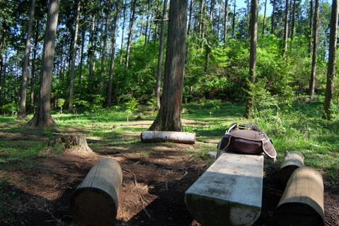 b0281732_8202427.jpg