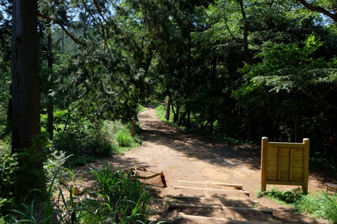 b0281732_8204367.jpg
