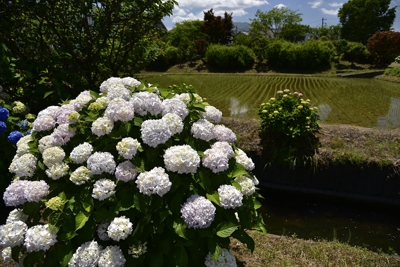b0042837_17244657.jpg