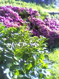 e0150843_232033100.jpg