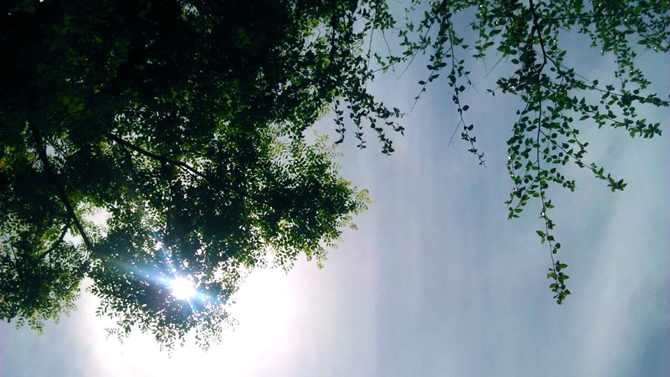 b0309645_1311268.jpg