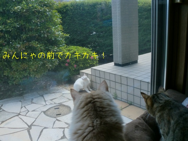 c0259945_13182237.jpg