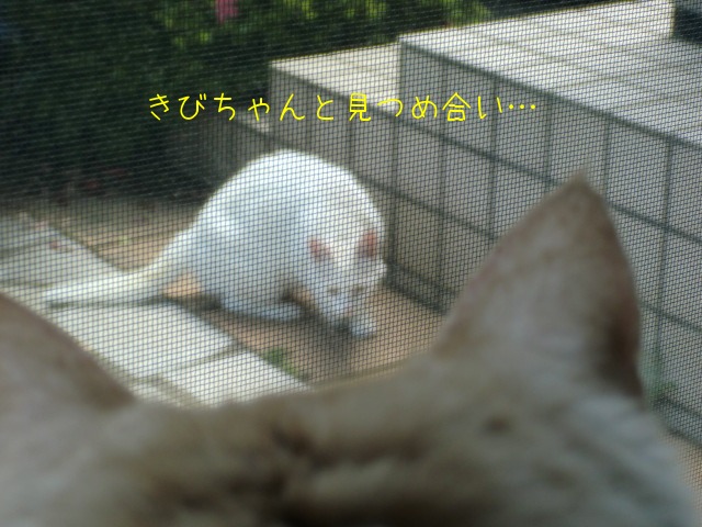 c0259945_13184261.jpg