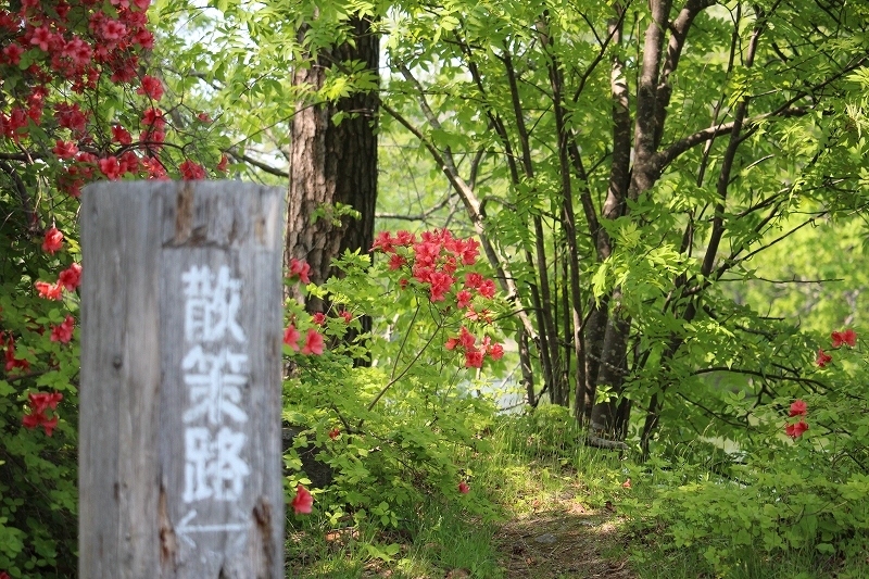 b0250154_07290038.jpg