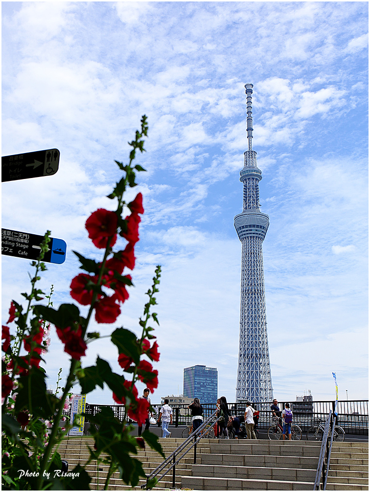 a0333665_14142679.jpg