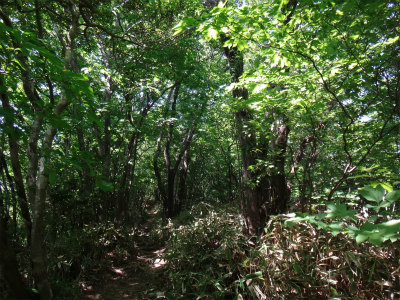 d0182075_258340.jpg