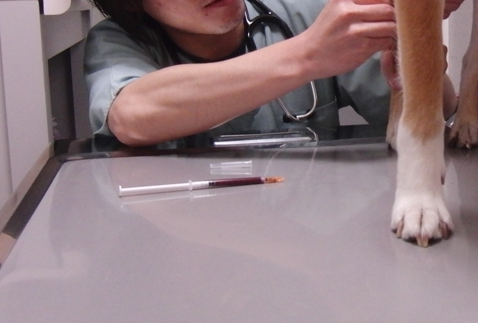 b0246876_01573751.jpg