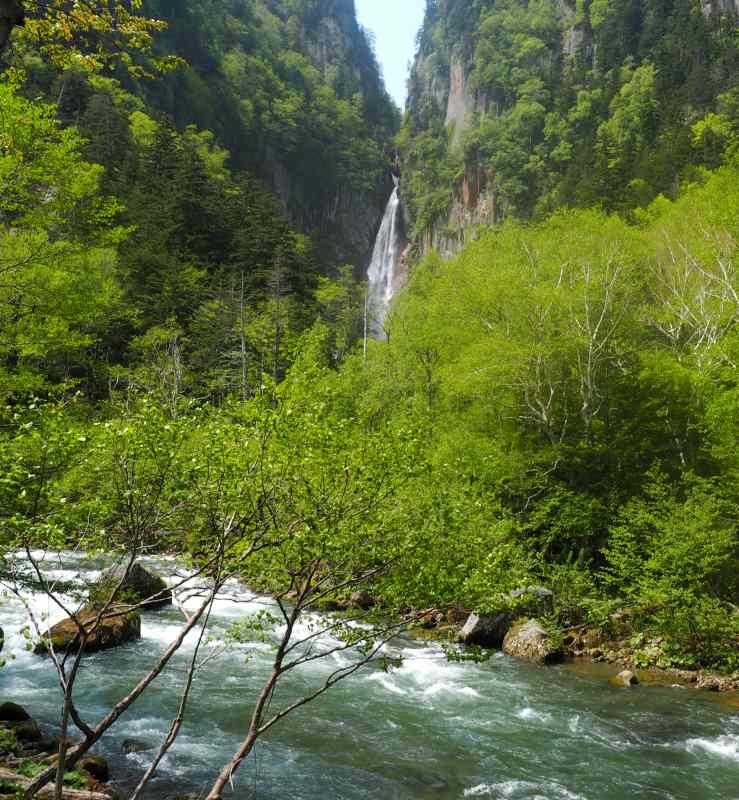 c0183777_19394774.jpg