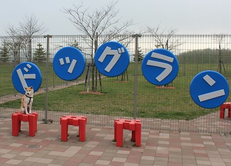 f0230777_20254749.jpg