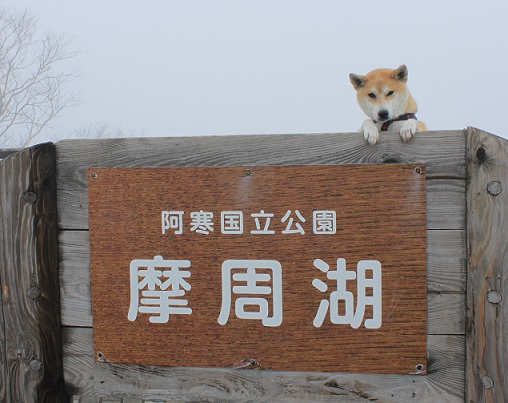 f0230777_20501451.jpg