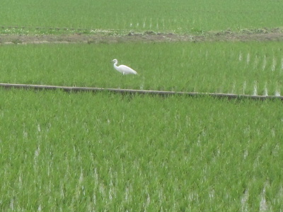 f0005081_2015837.jpg