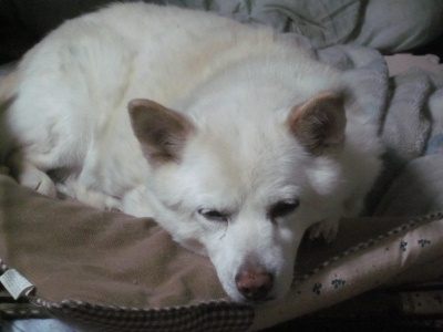 f0005081_2032670.jpg