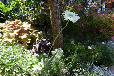 b0230589_21151470.jpg