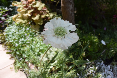 b0230589_21293574.jpg