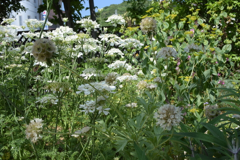 b0230589_21385910.jpg