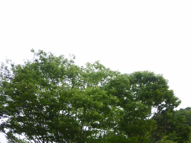 d0333091_16463155.jpg