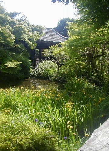 d0053294_1493348.jpg