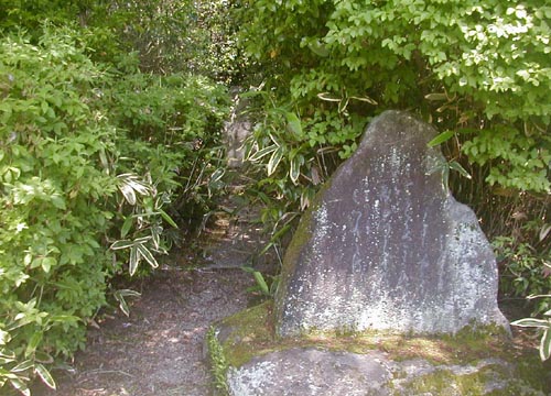 d0053294_1495333.jpg