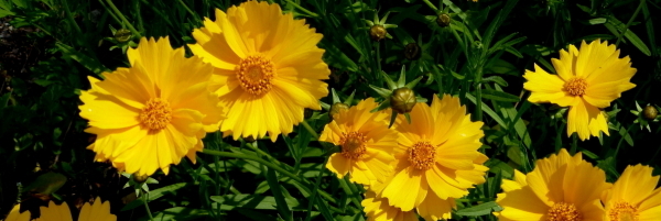 c0311196_04412173.jpg