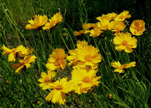 c0311196_04413353.jpg