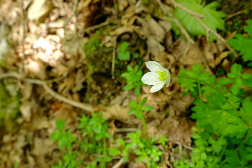 e0304001_15141113.jpg