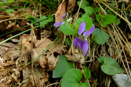 e0304001_15174147.jpg