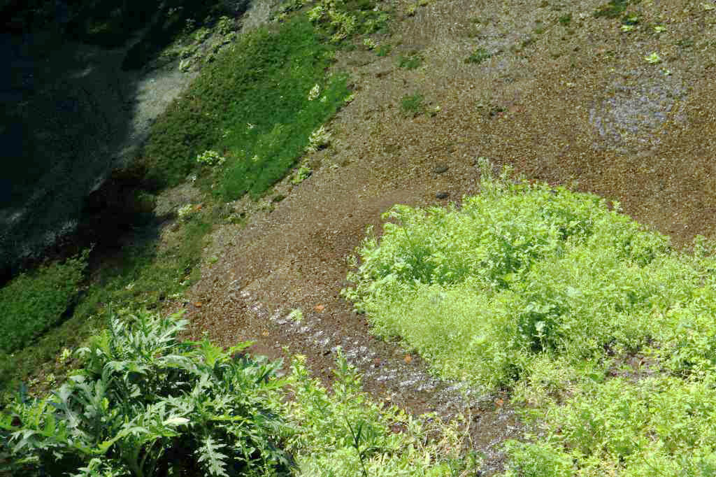 a0188405_17004969.jpg