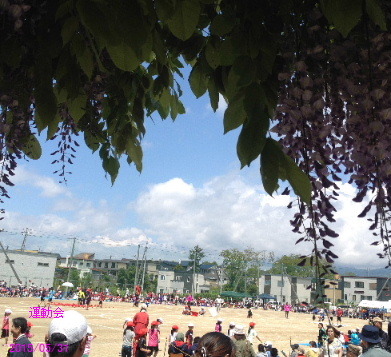 a0337807_15475067.jpg