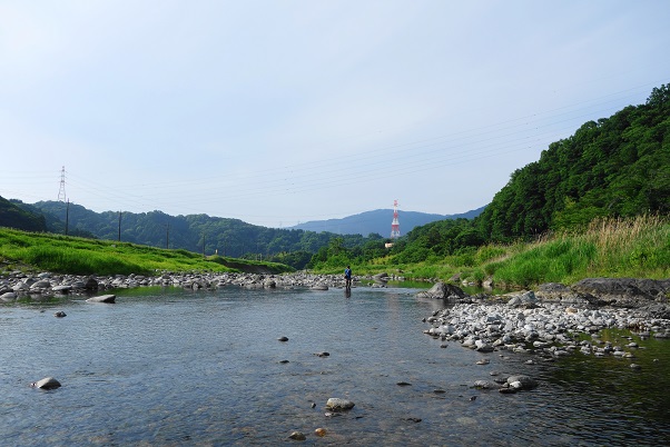 e0123808_123891.jpg