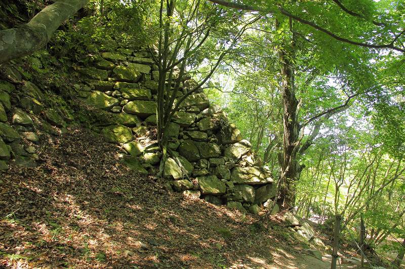 f0201711_1652825.jpg