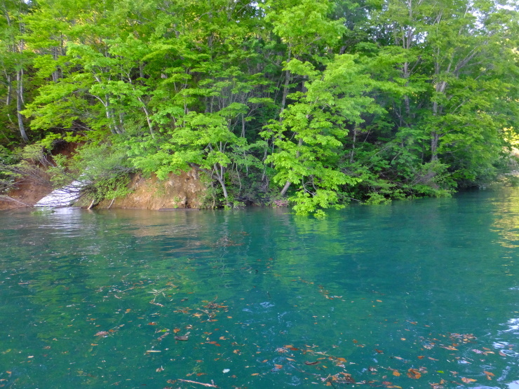 c0232813_09135913.jpg