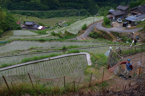 c0168815_19444399.jpg