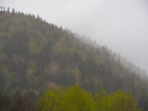 e0025030_17121669.jpg
