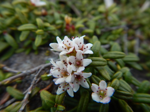 f0118332_00240546.jpg