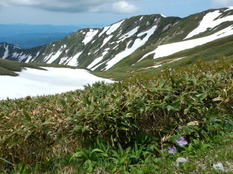 f0118332_00280486.jpg